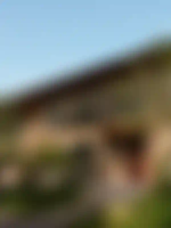 image for main block
