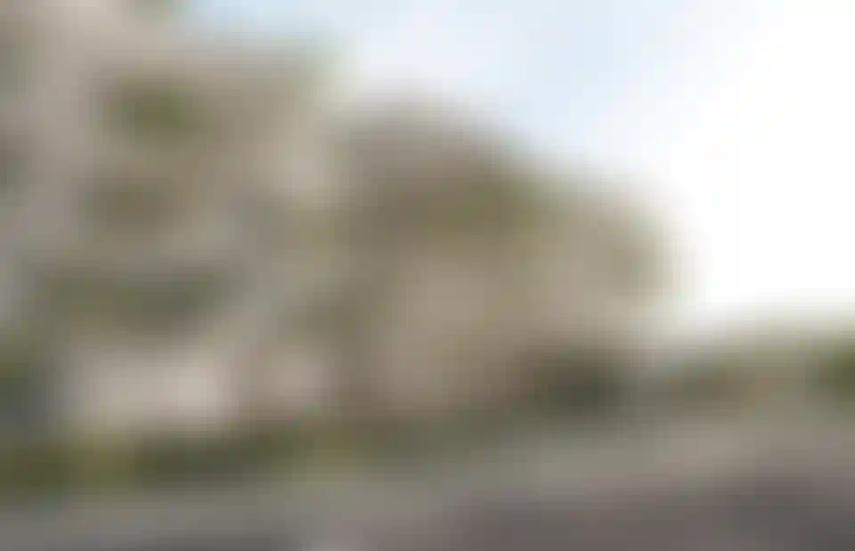 image for main block