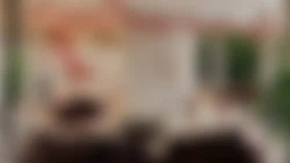 image for main block