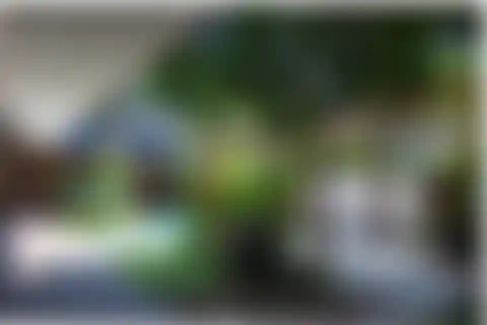 image for main block