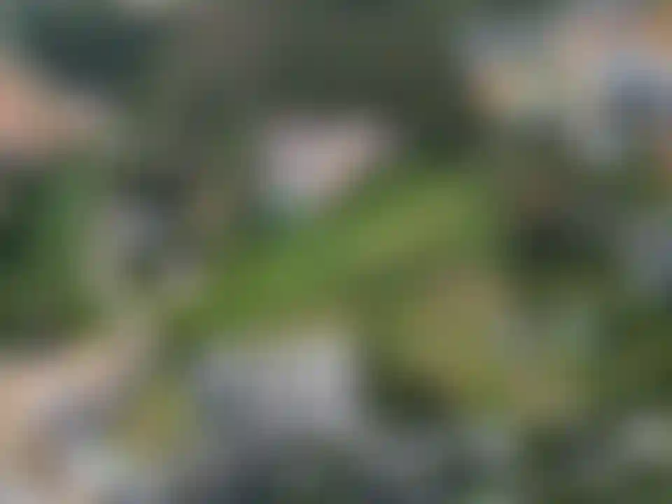image for main block