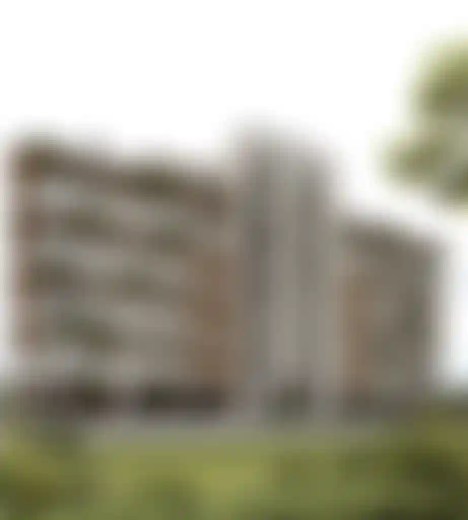 image for main block
