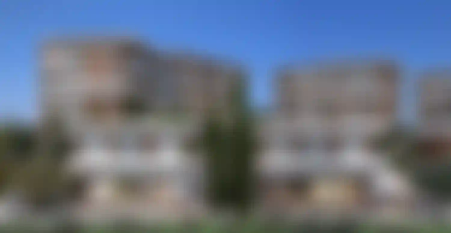 image for main block