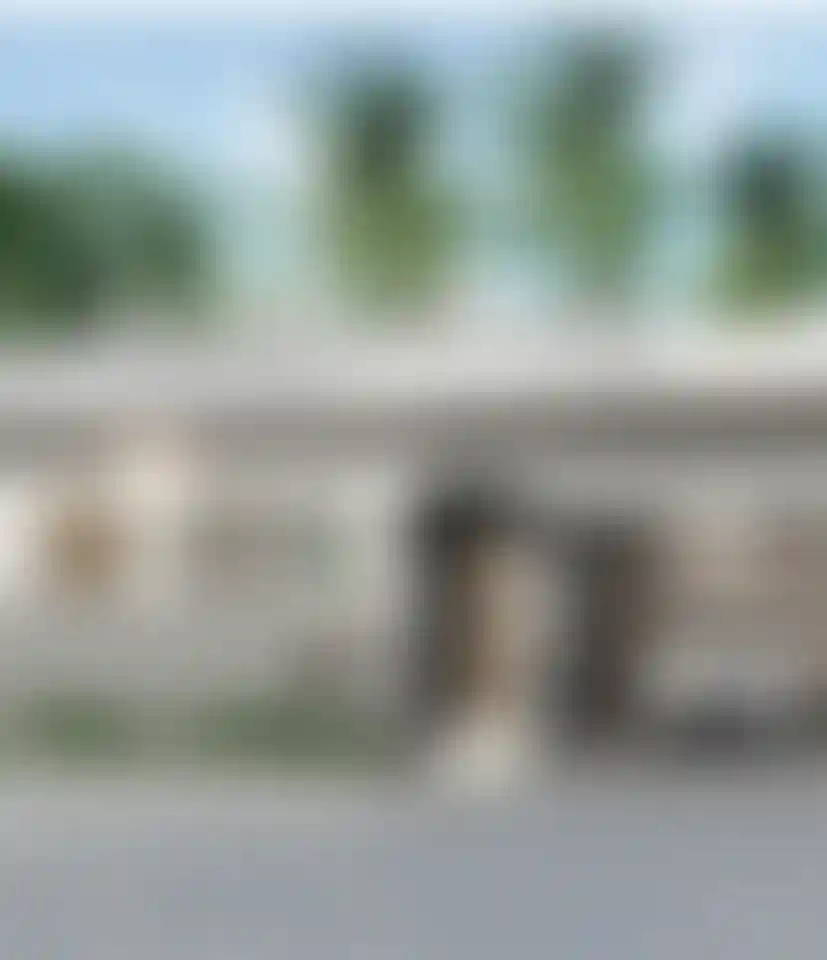 image for main block