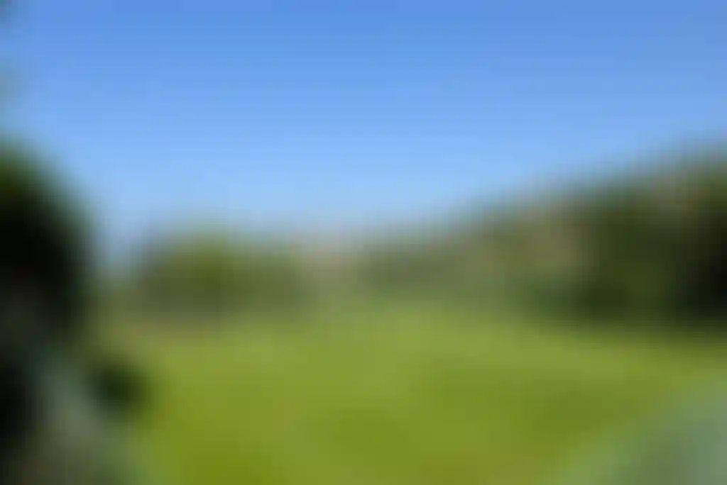 image for main block