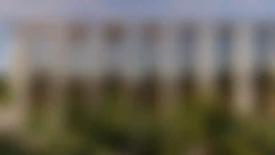 image for main block