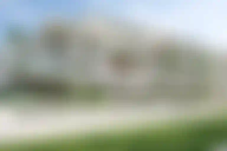 image for main block