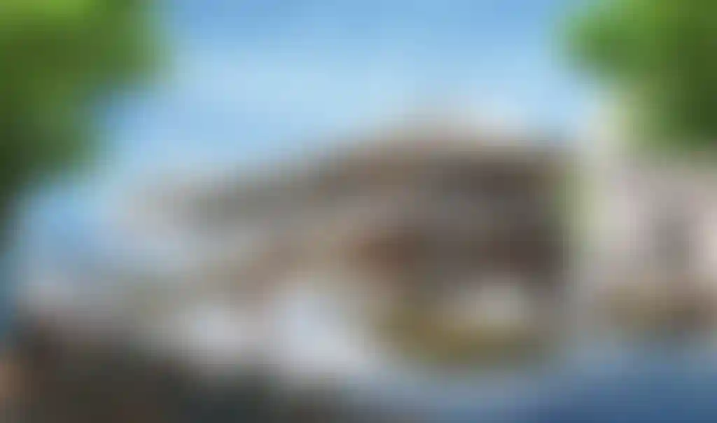image for main block