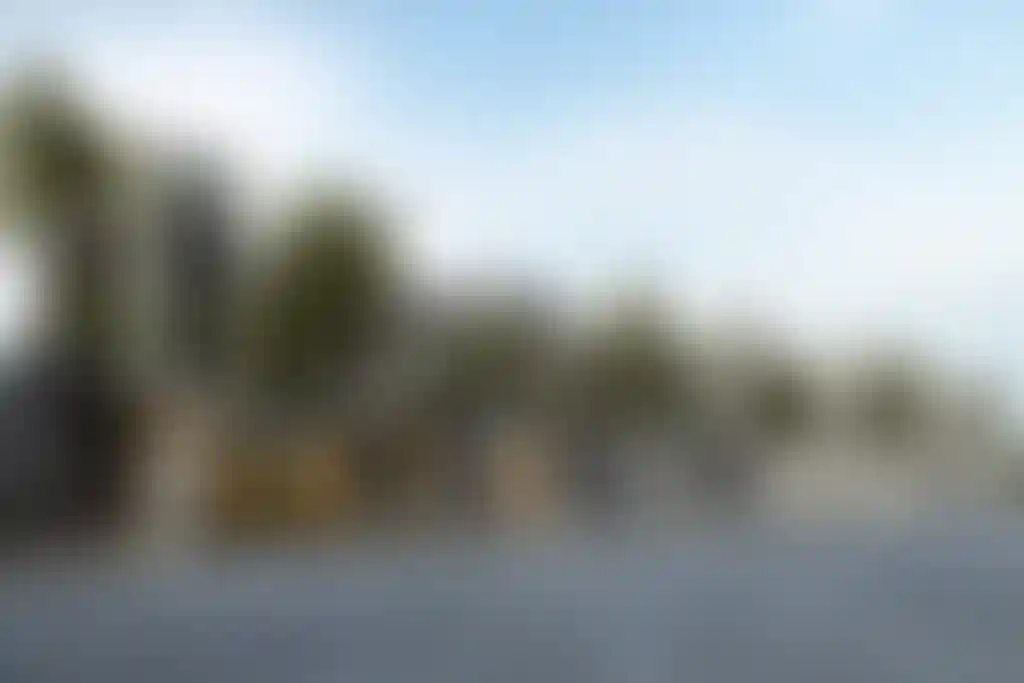 image for main block