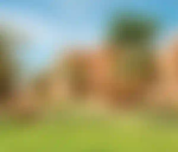 image for main block