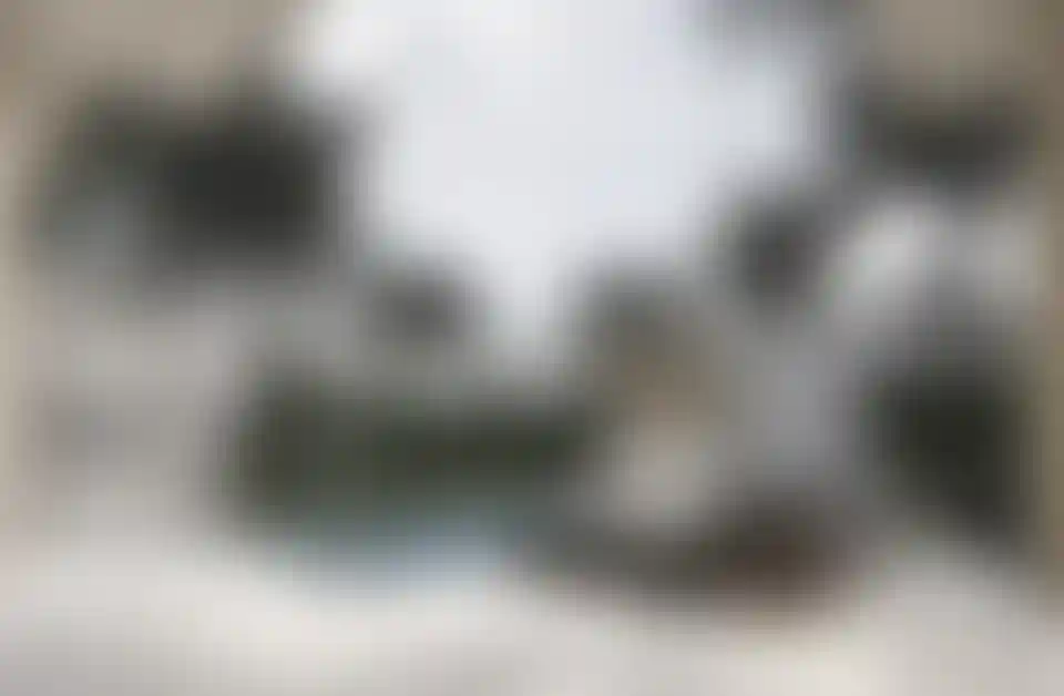 image for main block