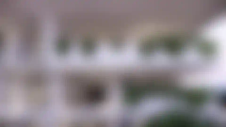 image for main block