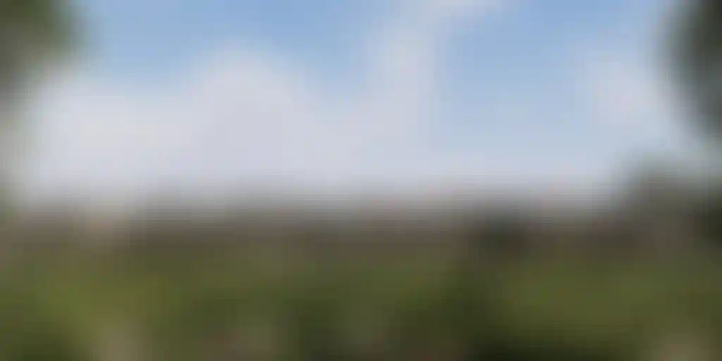 image for main block