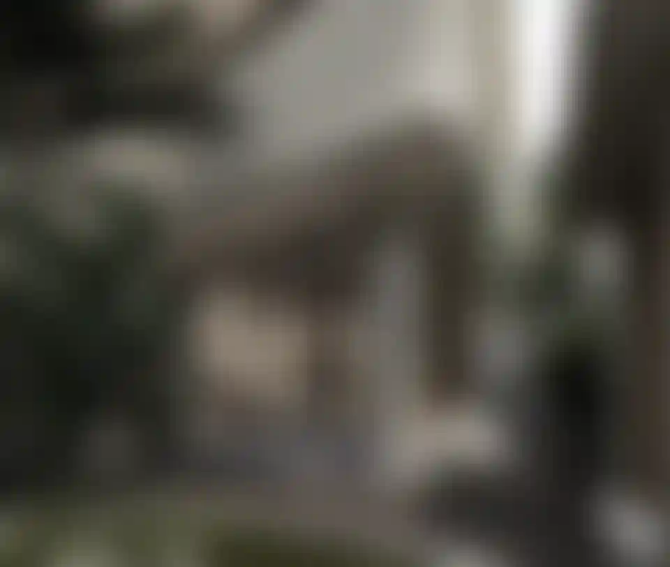 image for main block