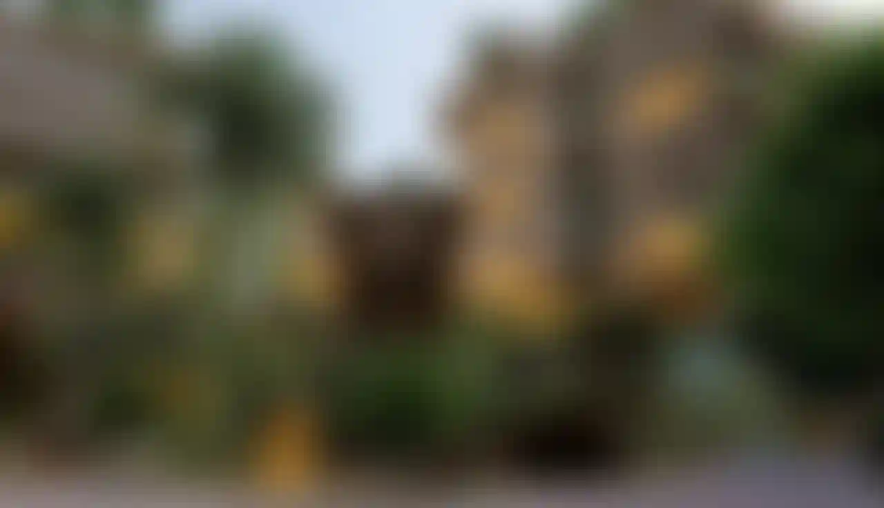 image for main block