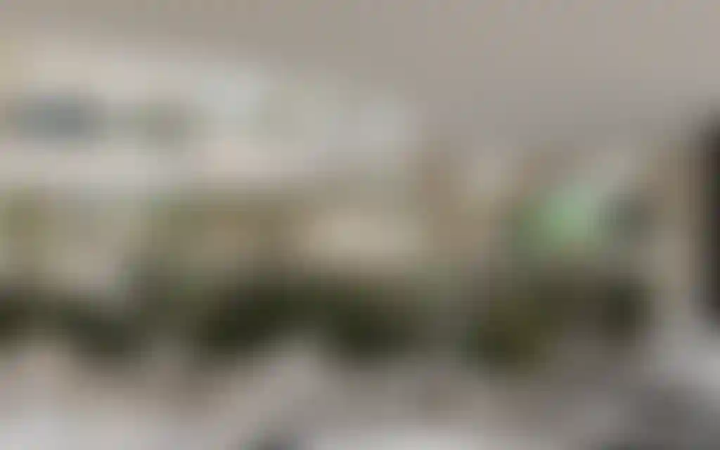 image for main block