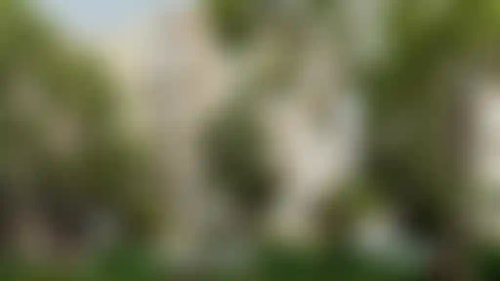 image for main block
