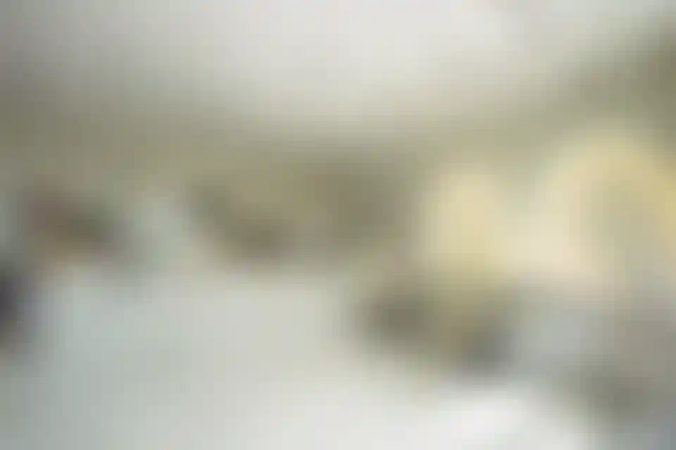 image for main block