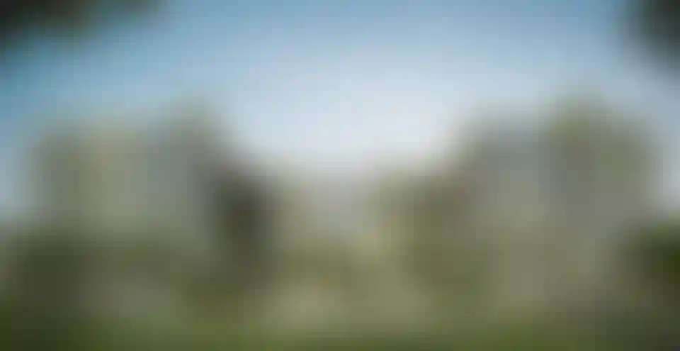 image for main block