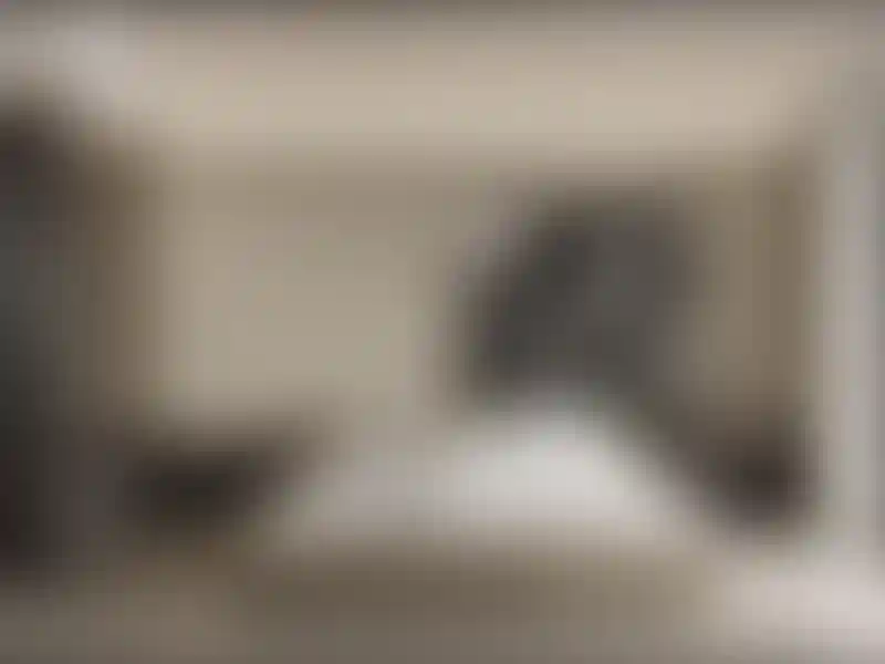 image for main block