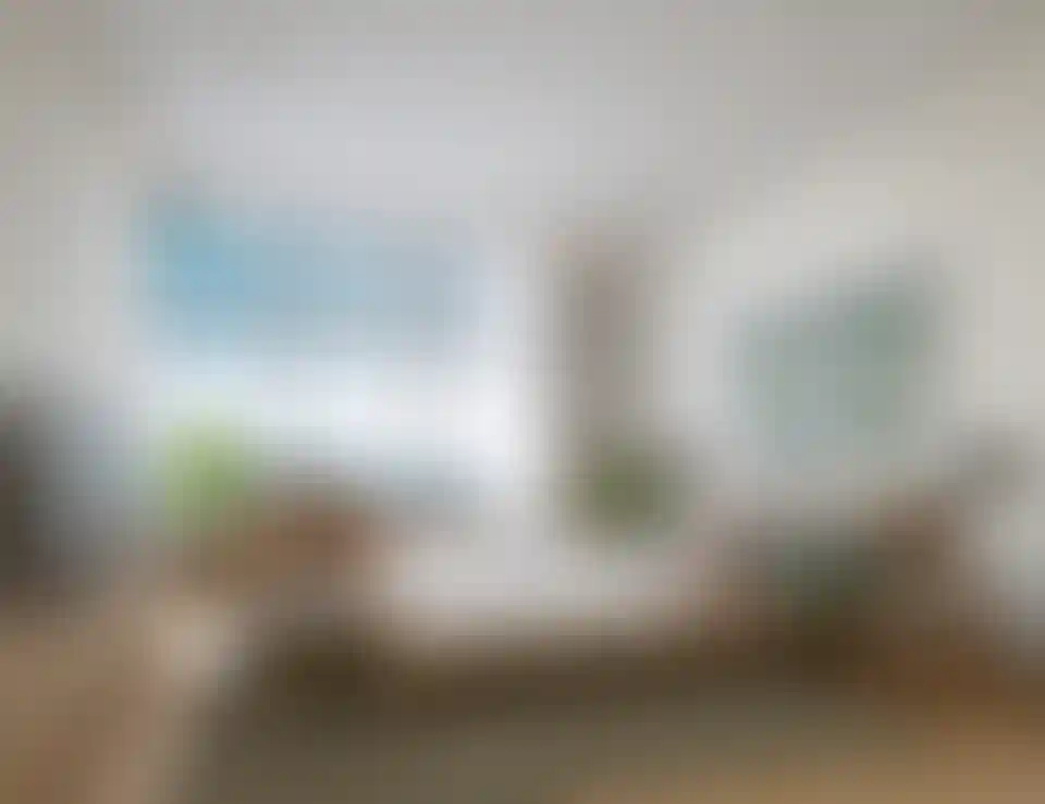 image for main block