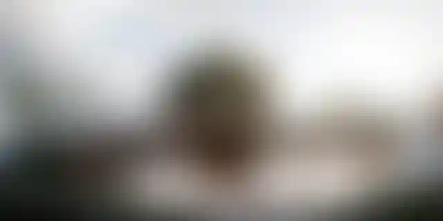 image for main block