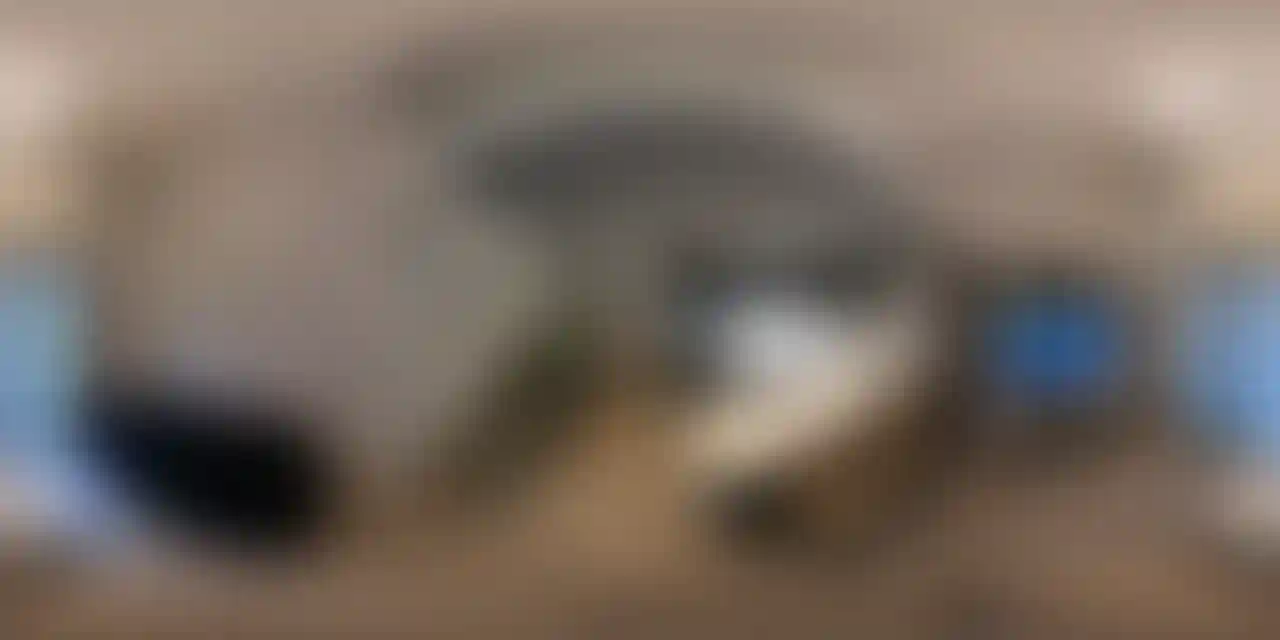 image for main block