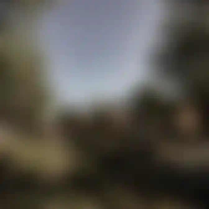 image for main block