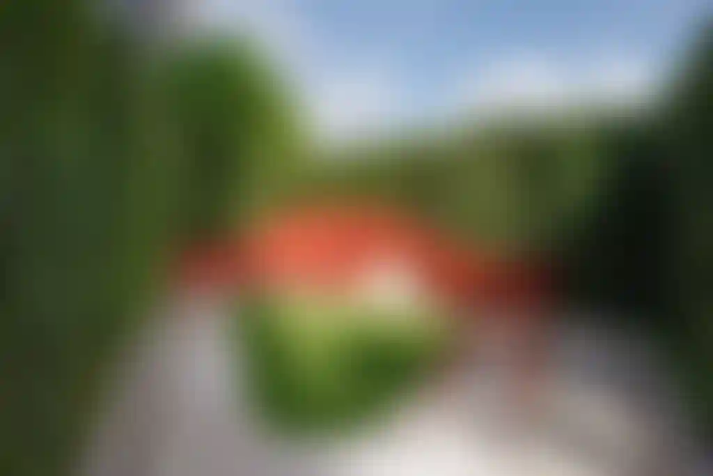 image for main block