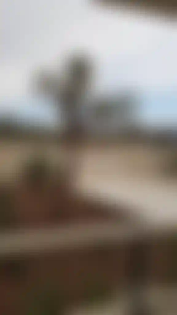 image for main block