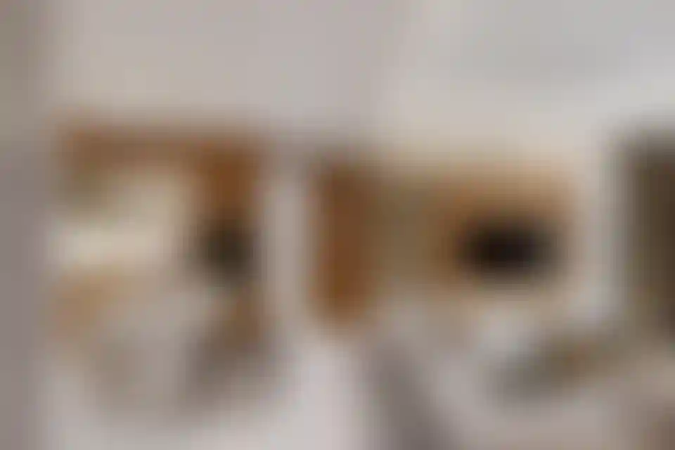 image for main block