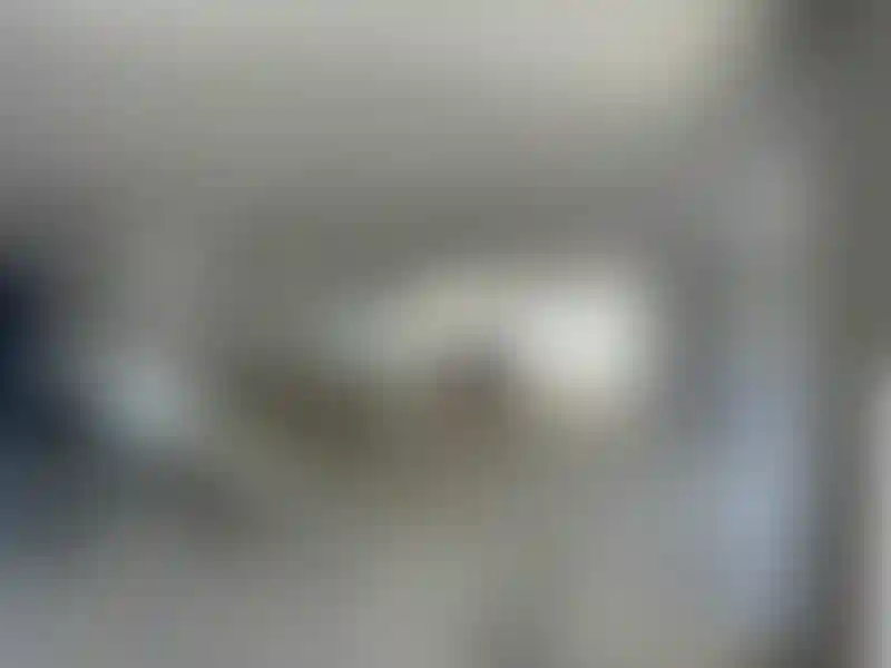 image for main block