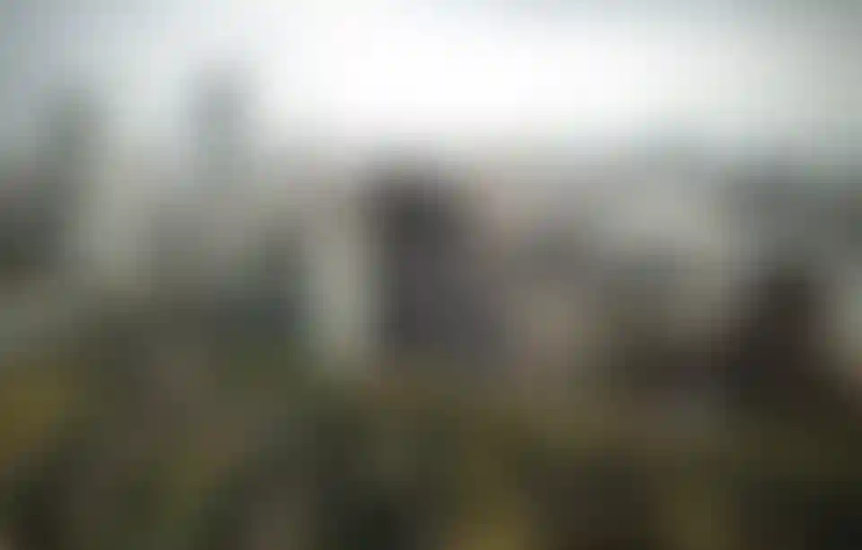 image for main block