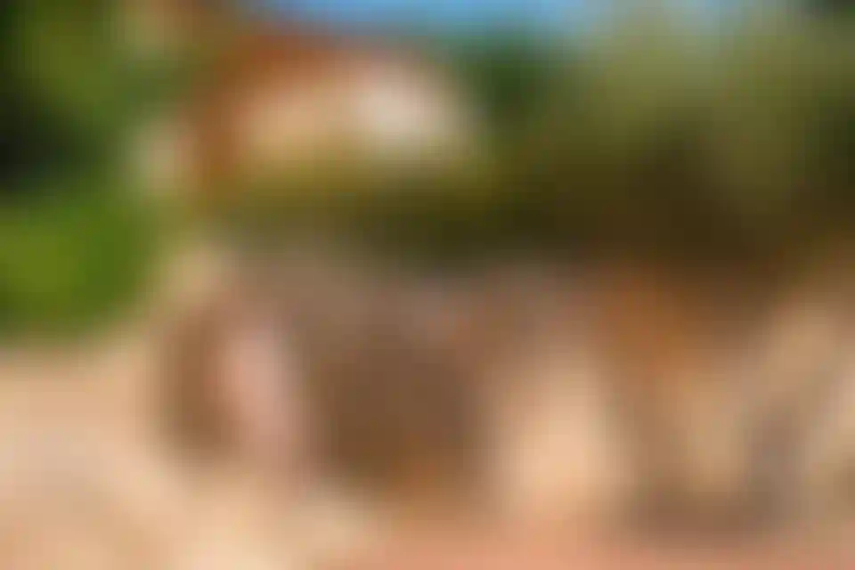 image for main block