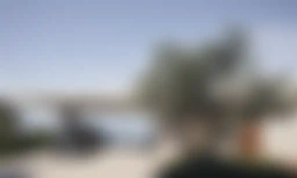 image for main block