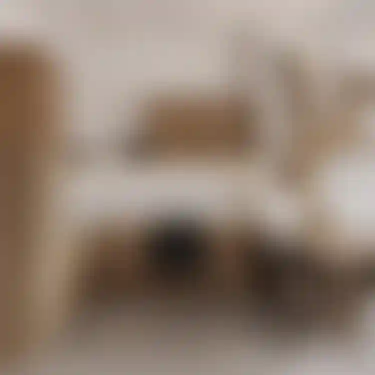image for main block