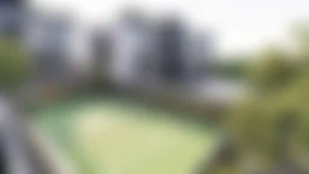 image for main block