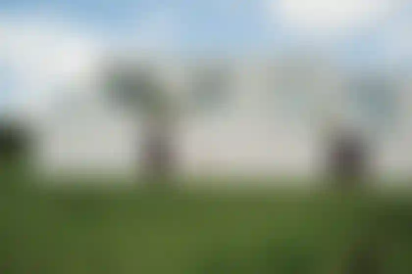 image for main block
