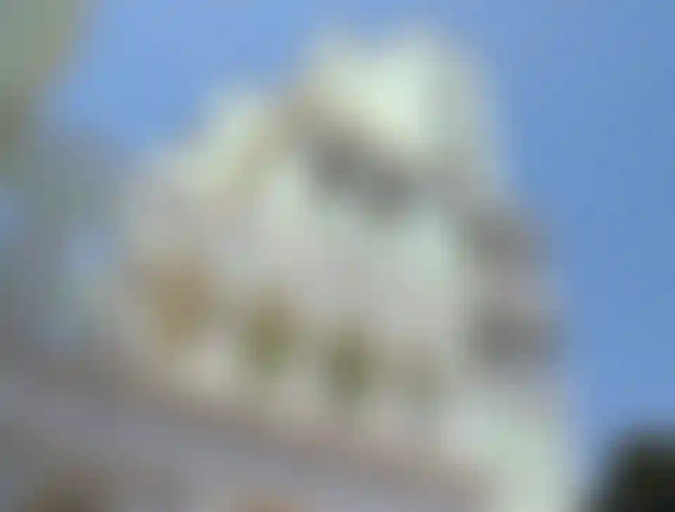 image for main block