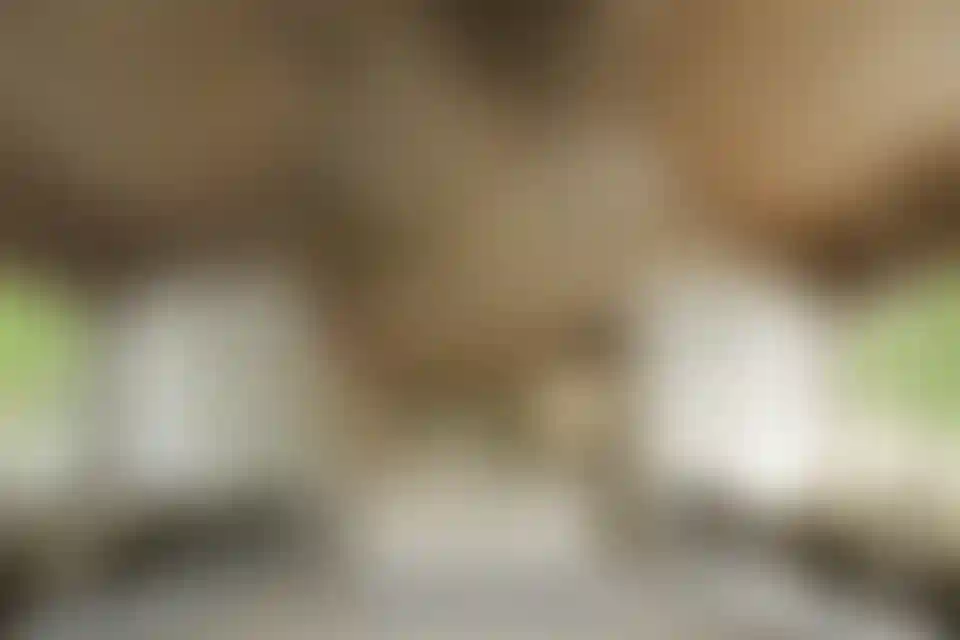 image for main block