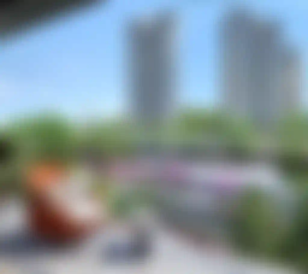 image for main block