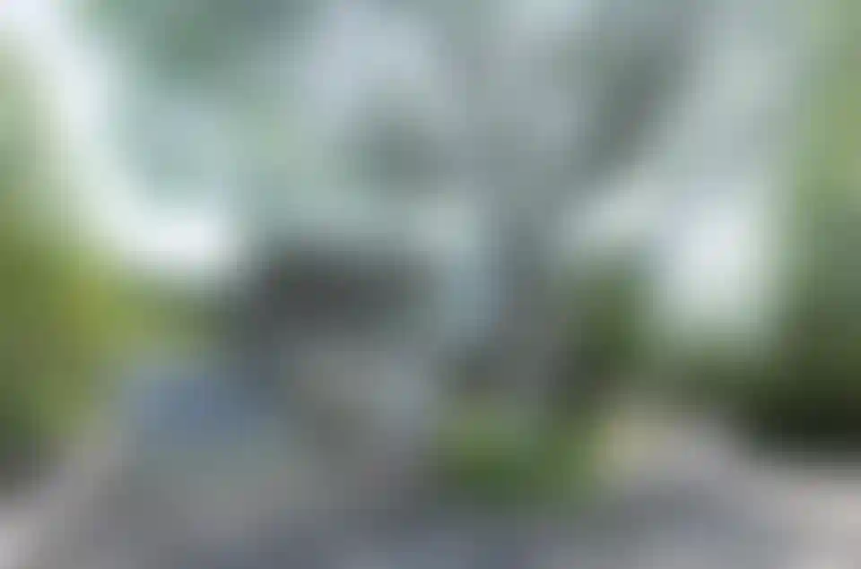 image for main block