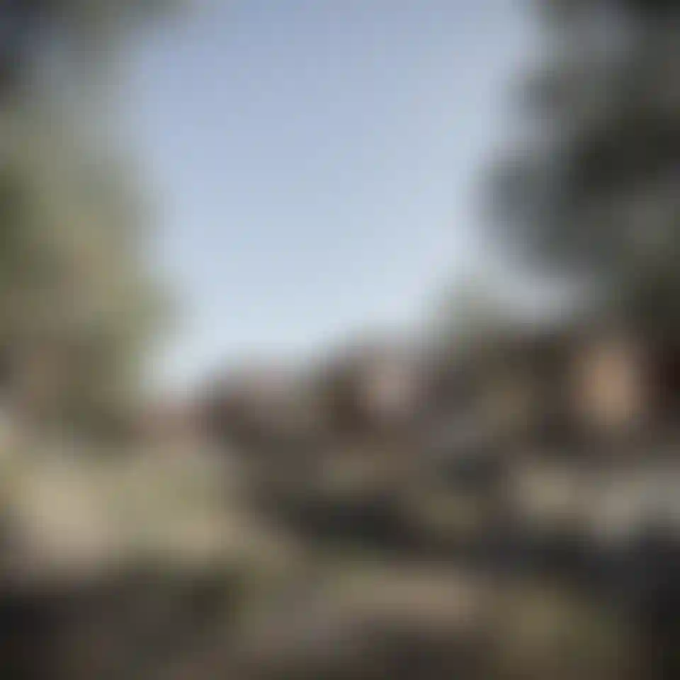 image for main block
