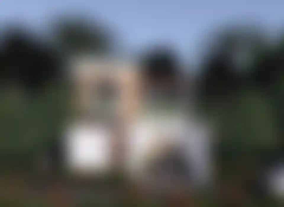 image for main block