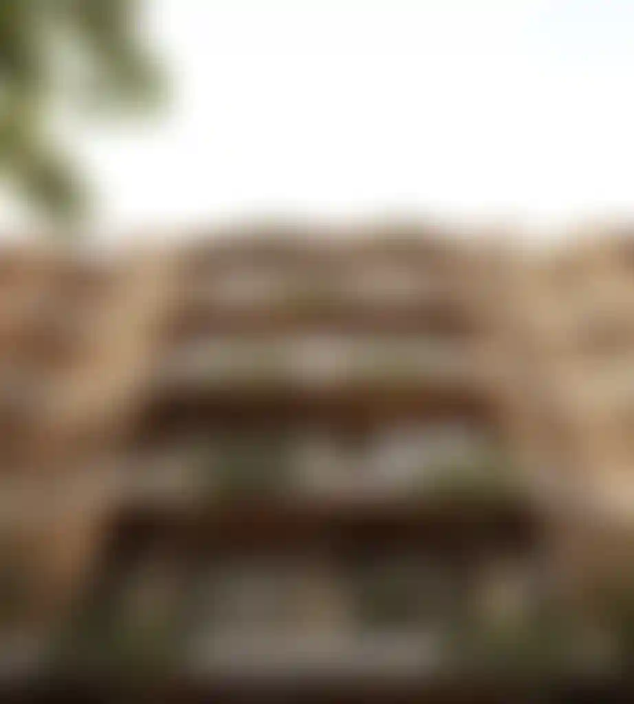 image for main block