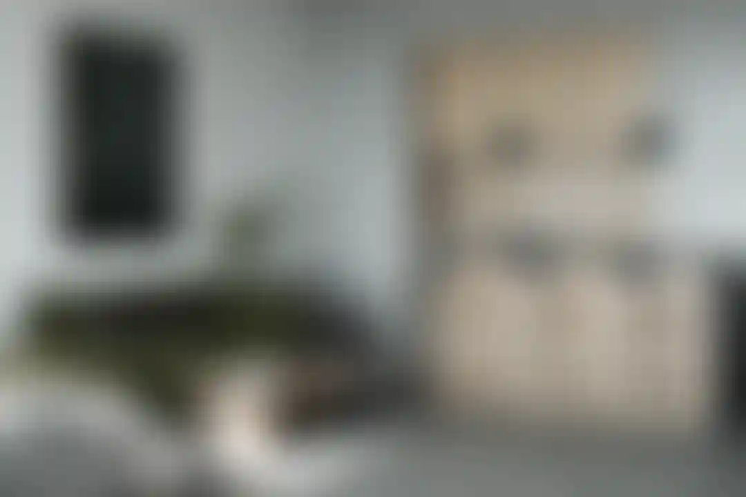 image for main block