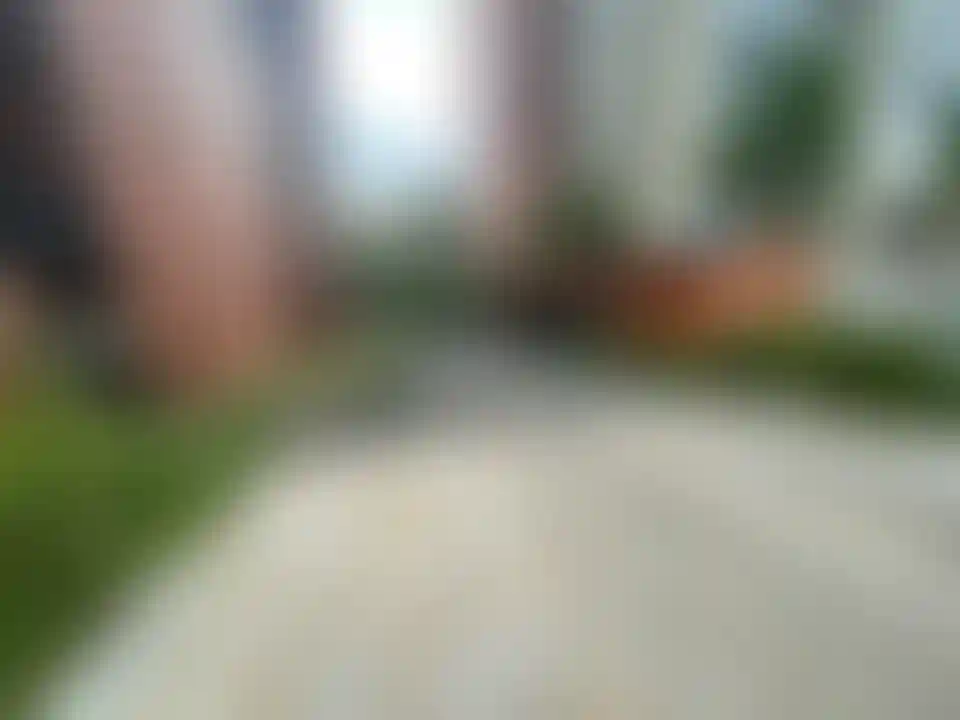 image for main block