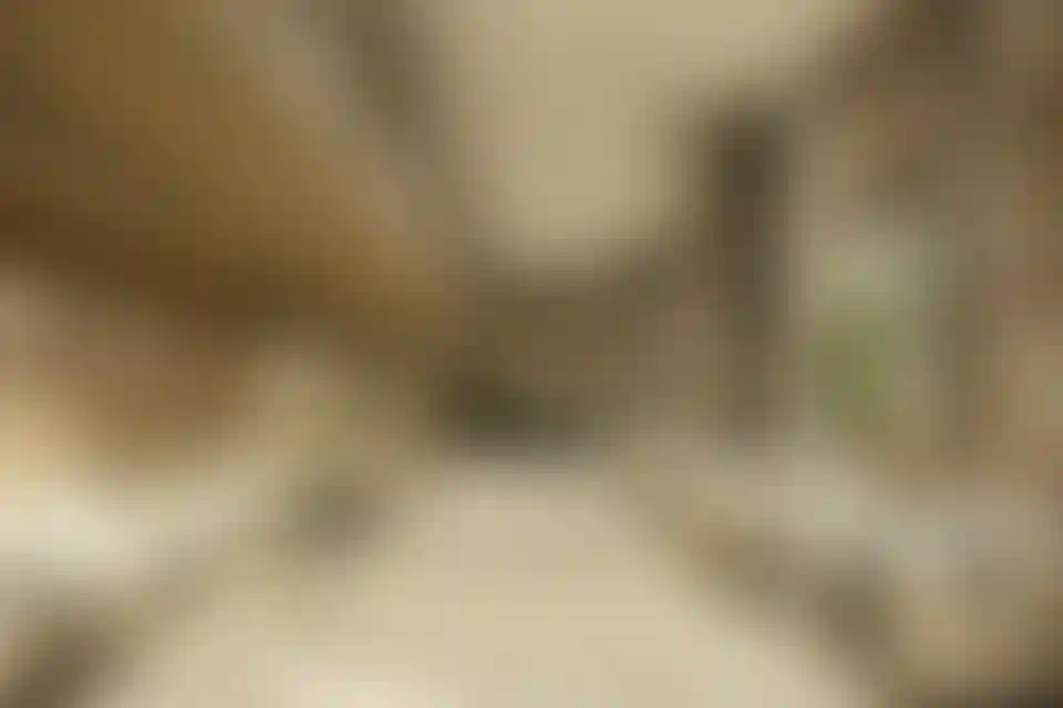 image for main block