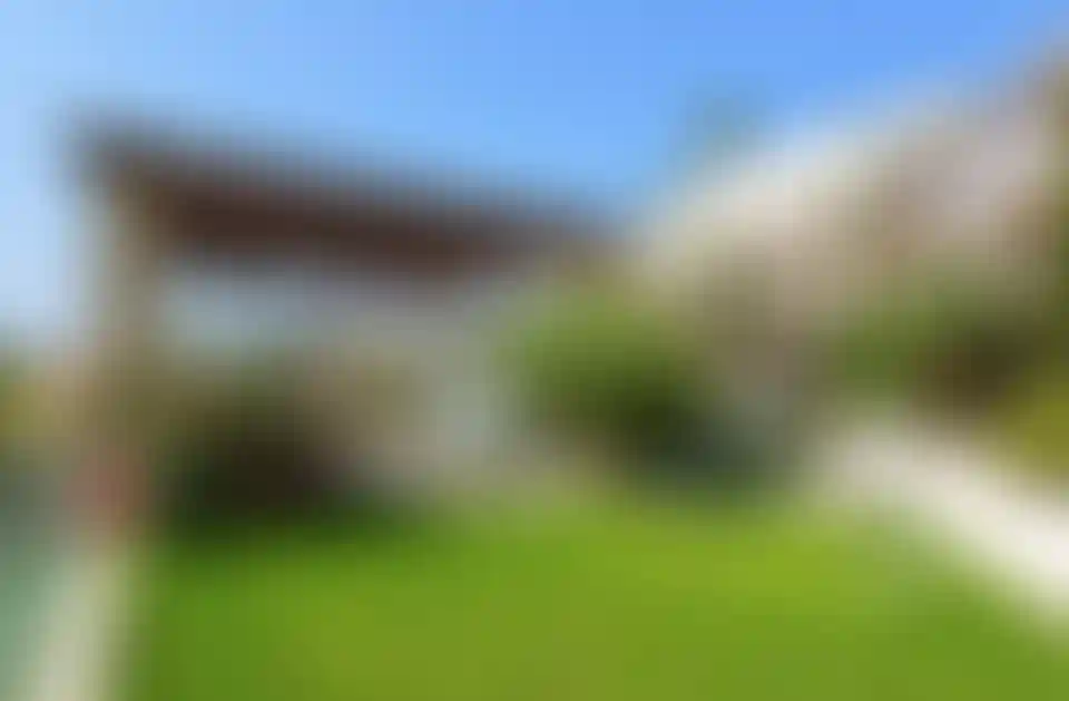 image for main block