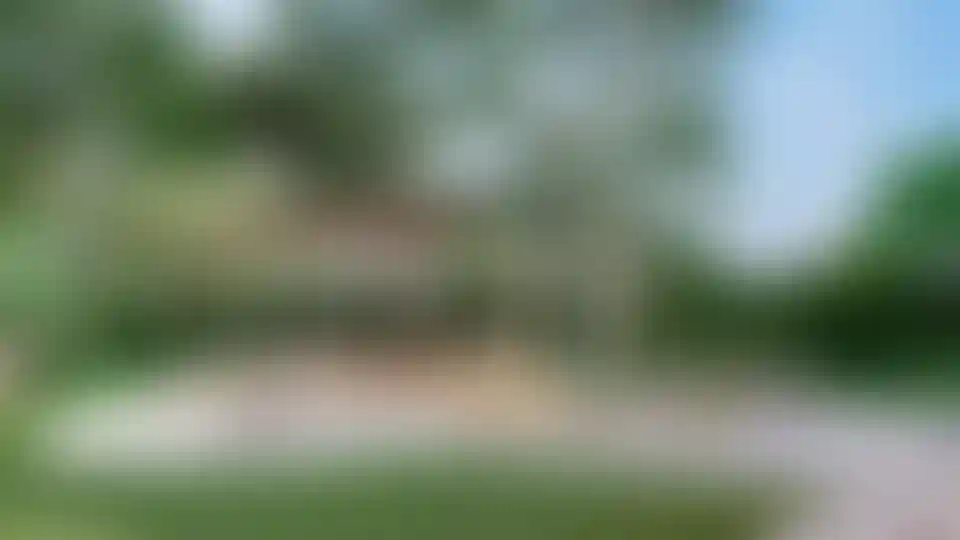 image for main block